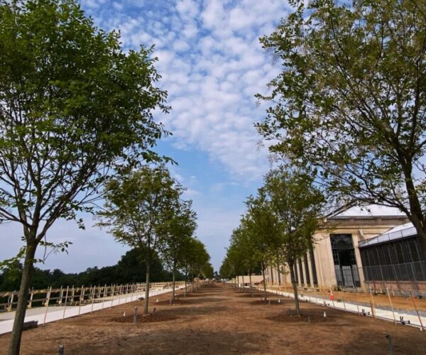 Yellowwood Allée at Longwood Gardens which connects the East Conservatory to the West Conservatory