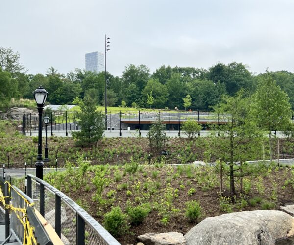 The Davis Center, north end of Central Park by Harlem Meer. The grounds are still under renovation, with the green roof and garden beds in view and lined up with the rest of the Park's landscape.