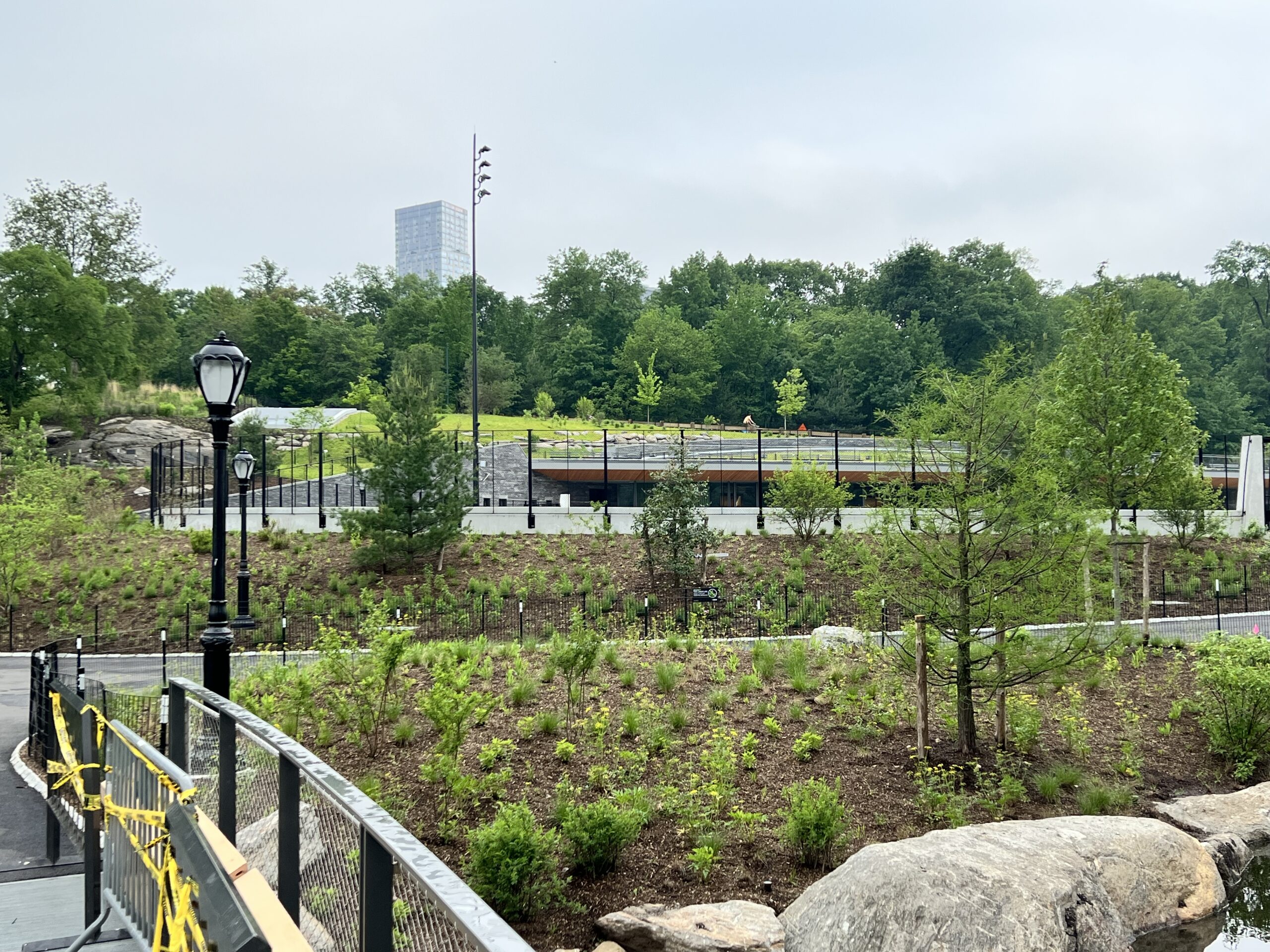 The Davis Center, north end of Central Park by Harlem Meer. The grounds are still under renovation, with the green roof and garden beds in view and lined up with the rest of the Park's landscape.