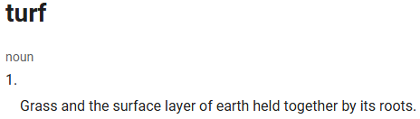 Turf, noun, defined as the grass and surface layer of earth held together by its roots