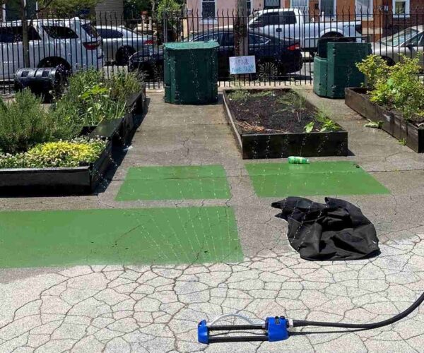 U School raised garden beds with LVS Garden Soil.