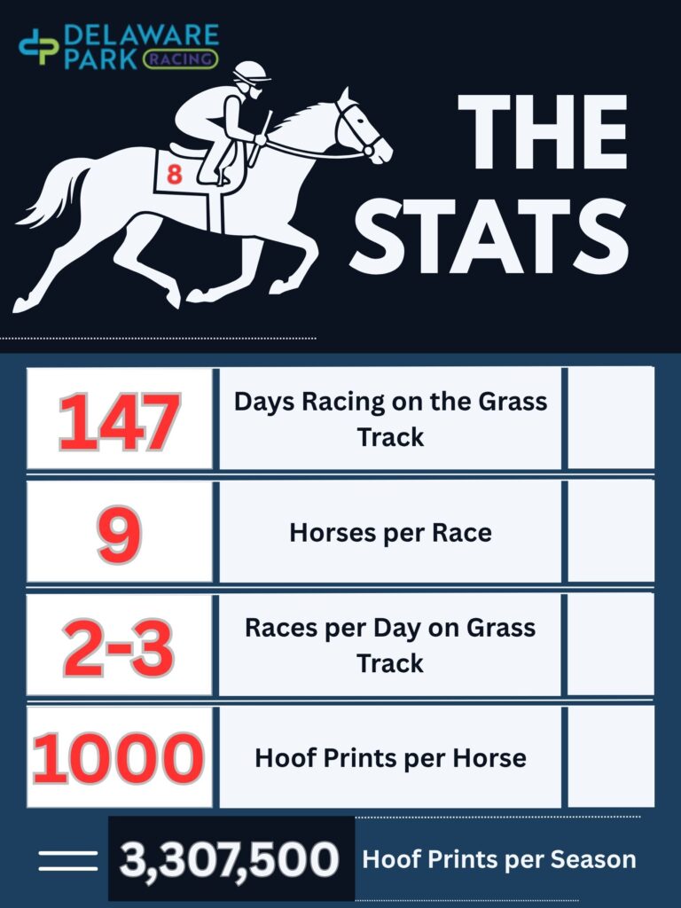 Delaware Park Racetrack Statistics during the horse races.