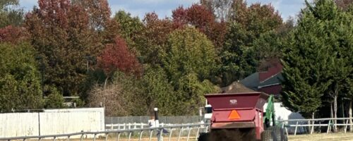 Delaware Park and Racetrack